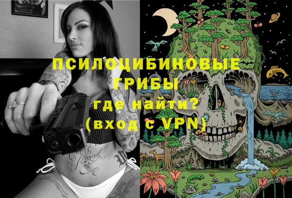 метадон Бородино