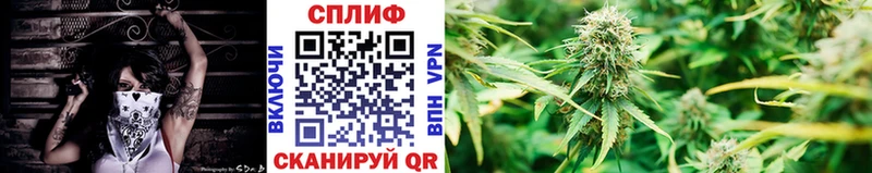 продажа наркотиков  KRAKEN ссылка  Бошки Шишки White Widow  Кольчугино 